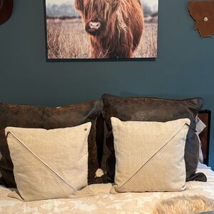 West Elm Set of Pillow Forms 20” x 20” w/Diagonal Zippers